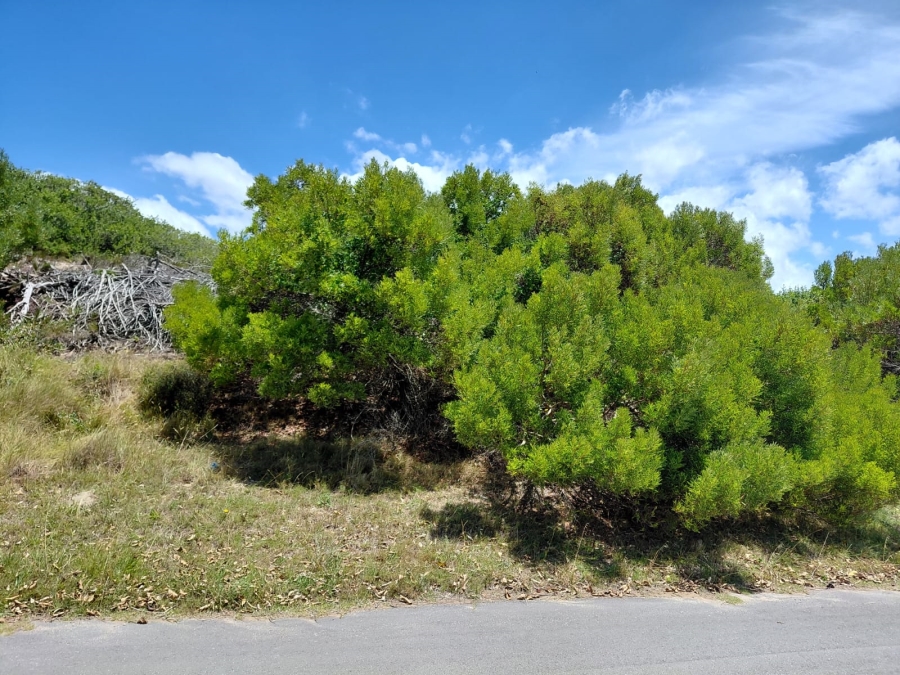 0 Bedroom Property for Sale in Paradise Beach Eastern Cape